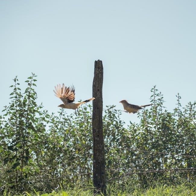 Harley-Davidson Wiring Diagram PDF | Free Download for Repair